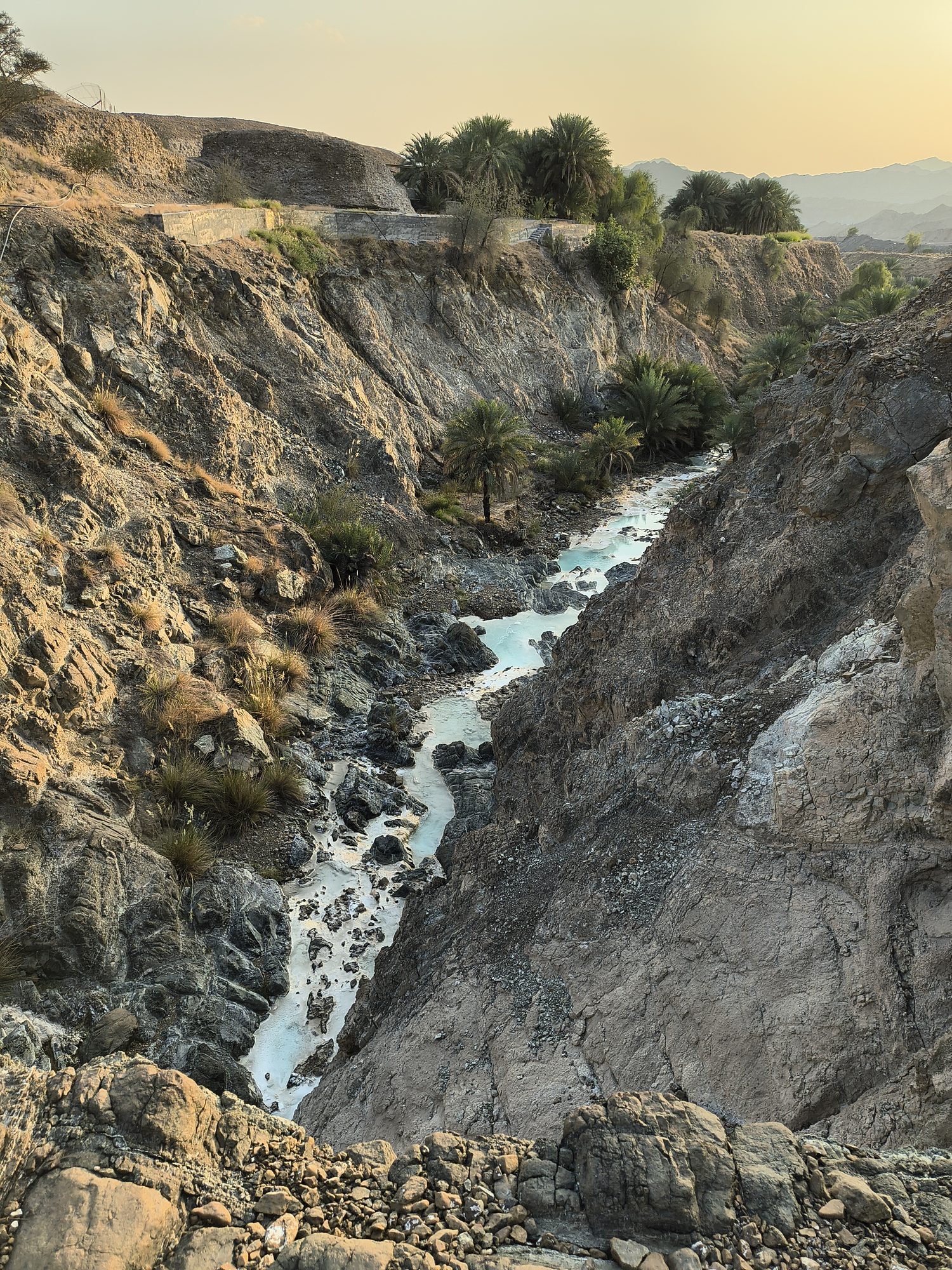 Ophiolite gorge with a milky-turquoise stream and date palms