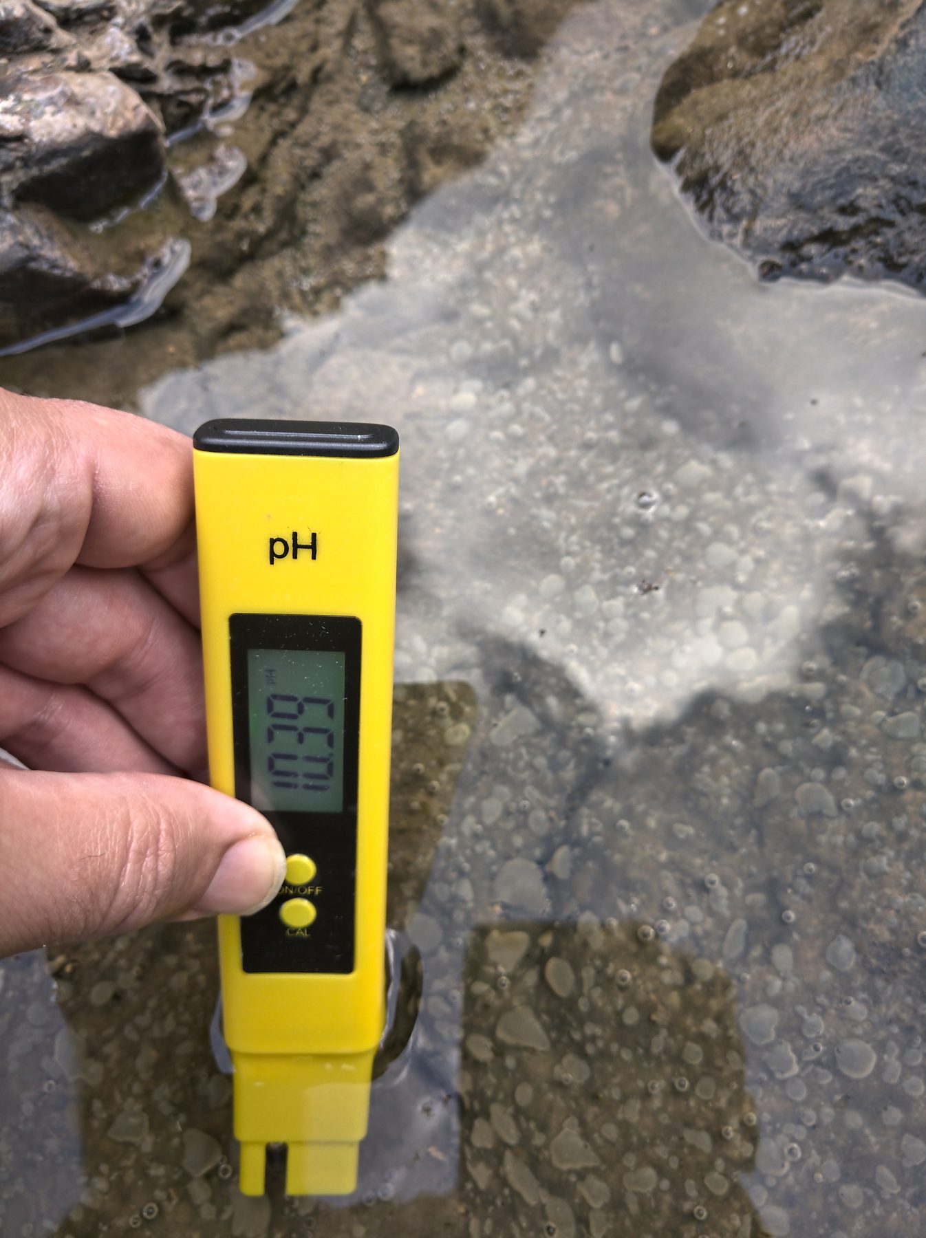 Measuring the pH of a hyperalkaline spring